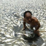 pollution de l'eau