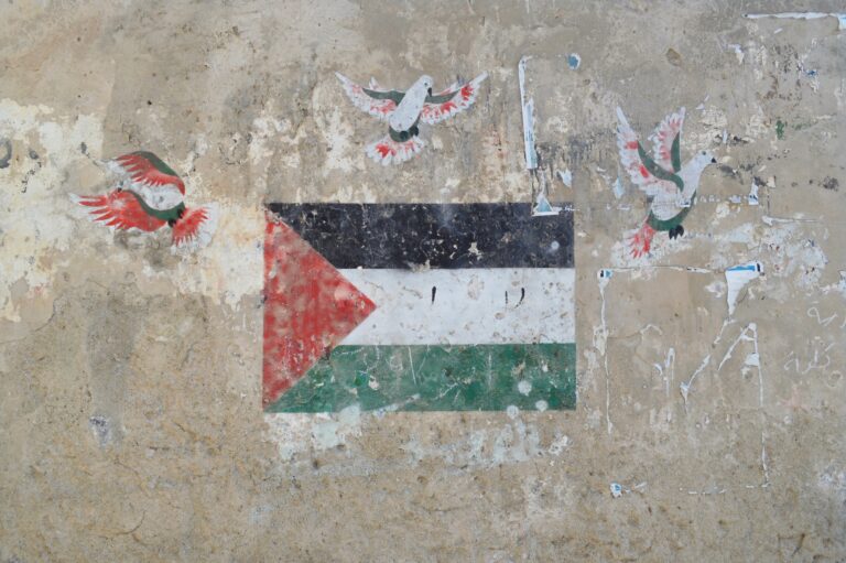 Ouvrage: Figures palestiniennes de la résistance face à l’occupation israélienne